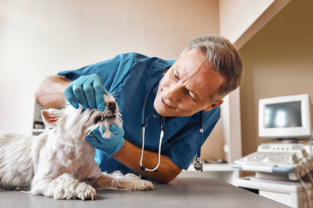 Best Emergency Wisdom Teeth Removal in Claude, TX